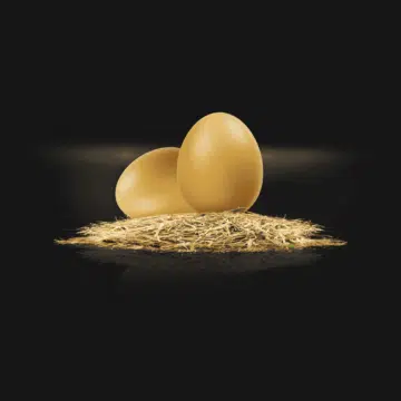 Œufs Bio d’Armelle